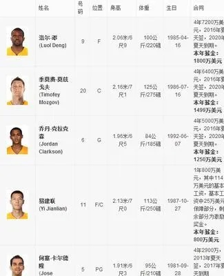 nba2015-2016赛季鹈鹕球员身价 球员身价排名及分析-第2张图片-www.211178.com_果博福布斯