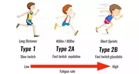 1秒4步马拉松方法详解-第2张图片-www.211178.com_果博福布斯