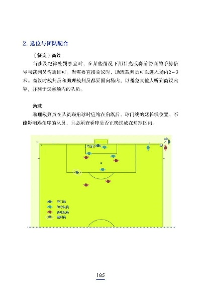 21年球赛大介绍（这些你必须知道的比赛规则和背后的故事）-第2张图片-www.211178.com_果博福布斯