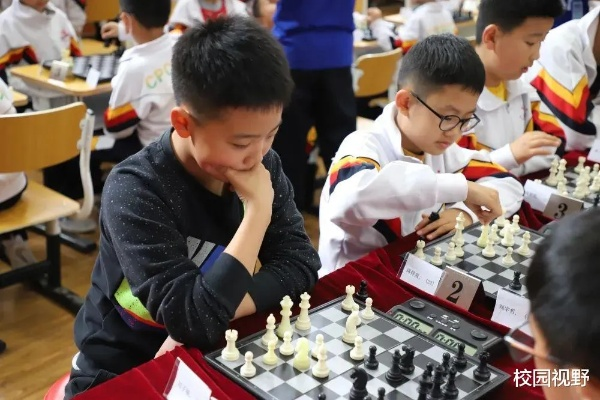 北京市国际象棋比赛探寻中国象棋文化的魅力与智慧-第2张图片-www.211178.com_果博福布斯