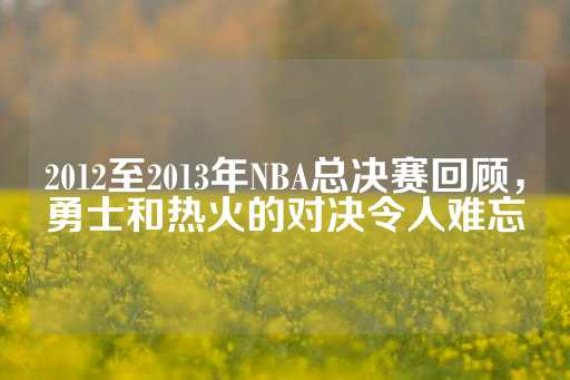 2012至2013年NBA总决赛回顾，勇士和热火的对决令人难忘