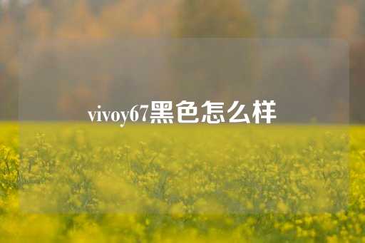 vivoy67黑色怎么样-第1张图片-皇冠信用盘出租