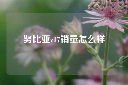 努比亚z17销量怎么样