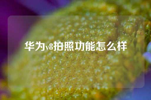 华为v8拍照功能怎么样